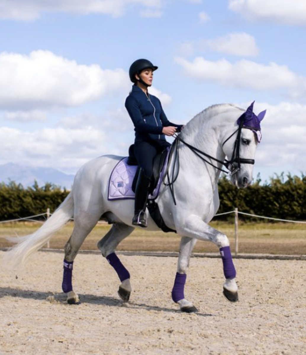 Cheshire Equestrian Center Success Story Connecticut Small Business Development Center