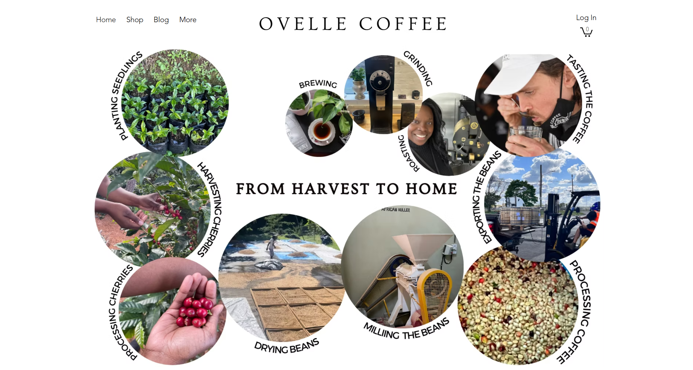 web ovelle coffee